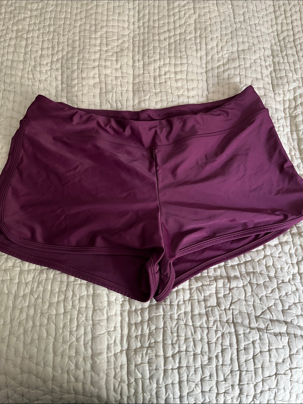 Carve Designs Plum Swim/Activity Shorts